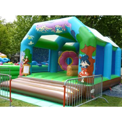Château Manga 34 m²